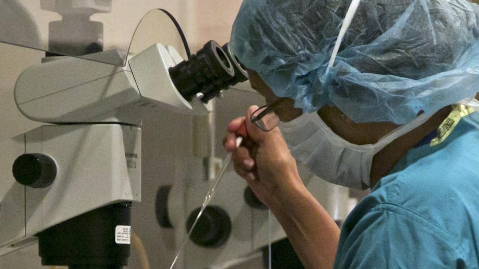 Une femme transfère un échantillon devant un microscope dans un laboratoire.