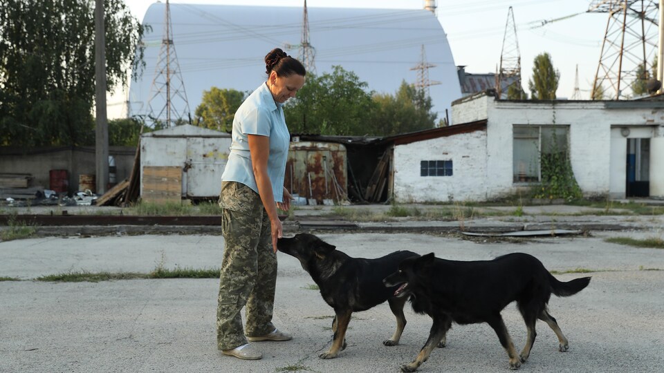 Une femme salue deux chiens errants au poste de sécurité où elle travaille en face de la nouvelle enceinte géante construite sur les restes du réacteur numéro quatre dévasté de la centrale nucléaire de Tchernobyl.