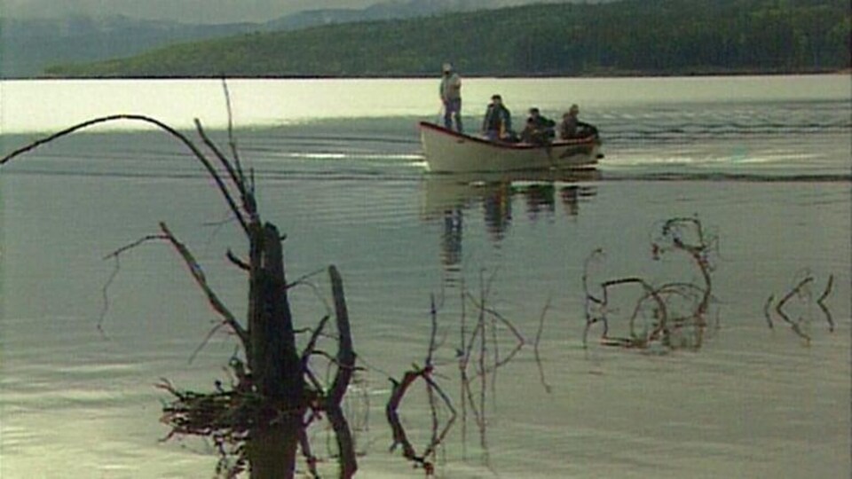 Des hommes sont dans un bateau sur un lac. On voit des arbres qui percent la surface de l'eau.