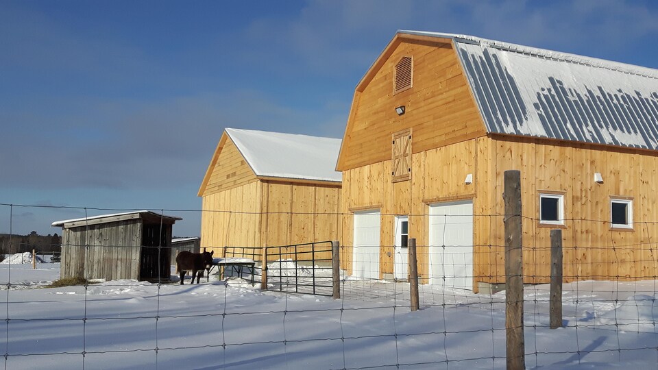 Les granges de l'économusée Chevrier du Nord.
