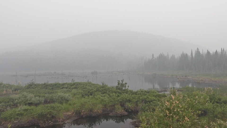 Lago e foresta oscurati da un denso fumo.