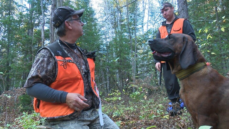 Le conducteur de chien de sang Serge Ferron et son chien Irka