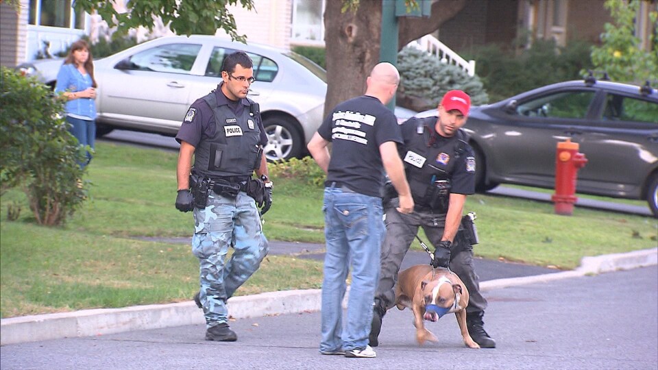 Un policier tient en laisse un chien muni d'une muselière.