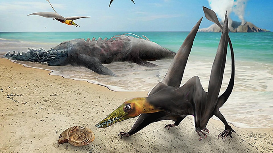 Illustration artistique d'un ptérosaure sur une plage.
