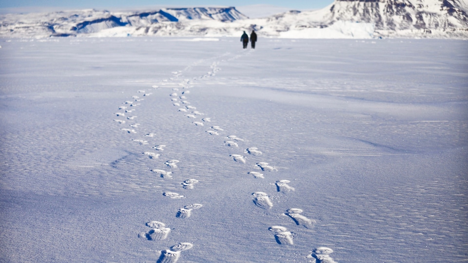 Une image montre des traces de pas dans la neige sur l'île d'Ellesmere dans l'Arctique canadien.