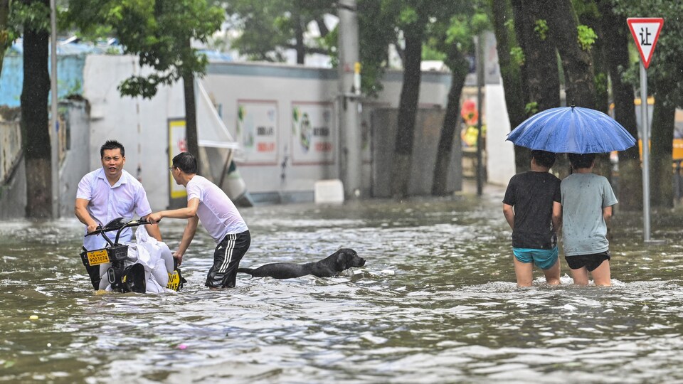 Des personnes et un chien pataugent dans une rue inondée.
