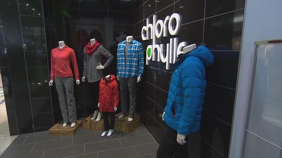 Des mannequins portant des vêtements Chlorophylle à l'avant d'une boutique.