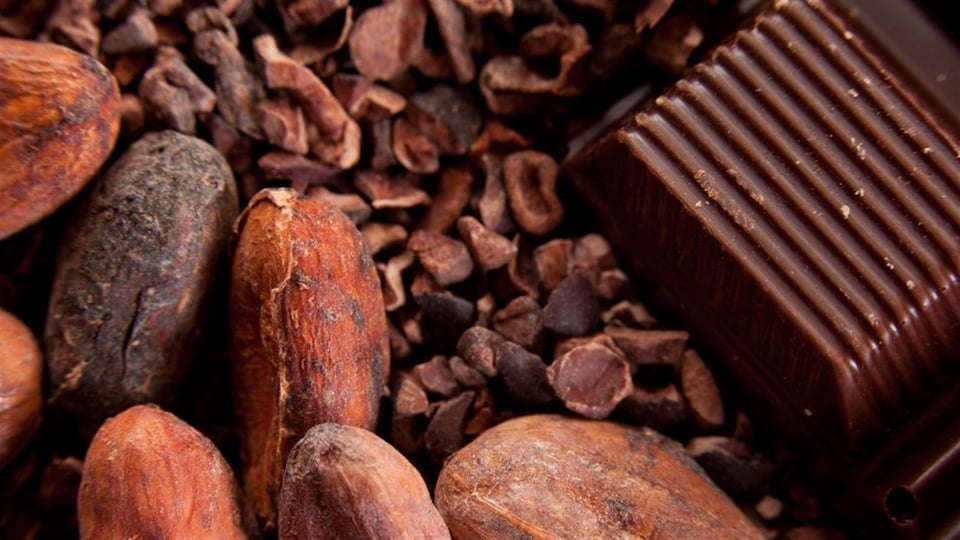 Des fèves de cacao et un carré de chocolat