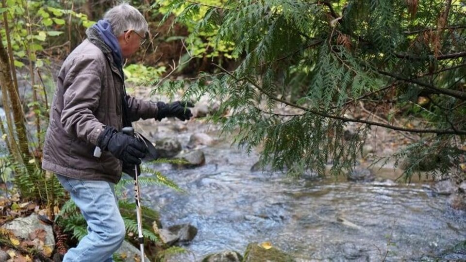 Un homme, Chris Wood, debout près du ruisseau Stoney Creek, montre un saumon du doigt.
