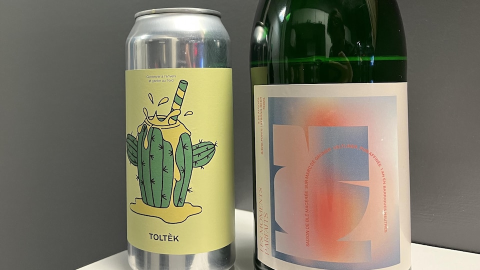 Les deux bières côte à côte. L'une en canette avec un cactus et une autre abordant une forme plus abstraite. 