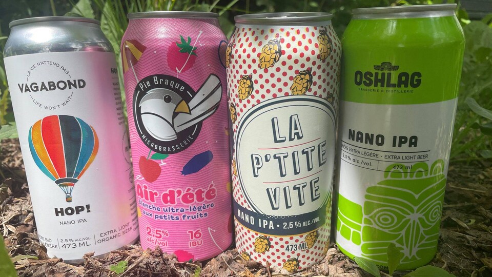 Quatre cannettes de bière posées dans les feuilles mortes.