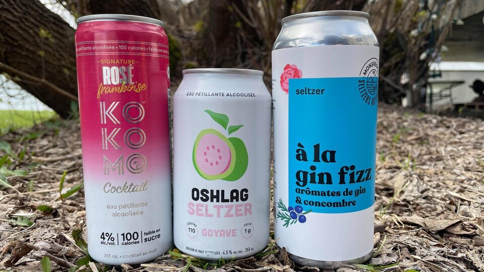 Trois canettes de seltzer dans les feuilles mortes.
