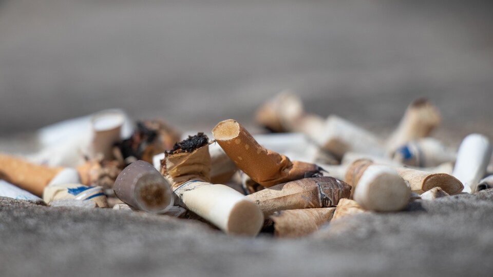 Des mégots de cigarette.
