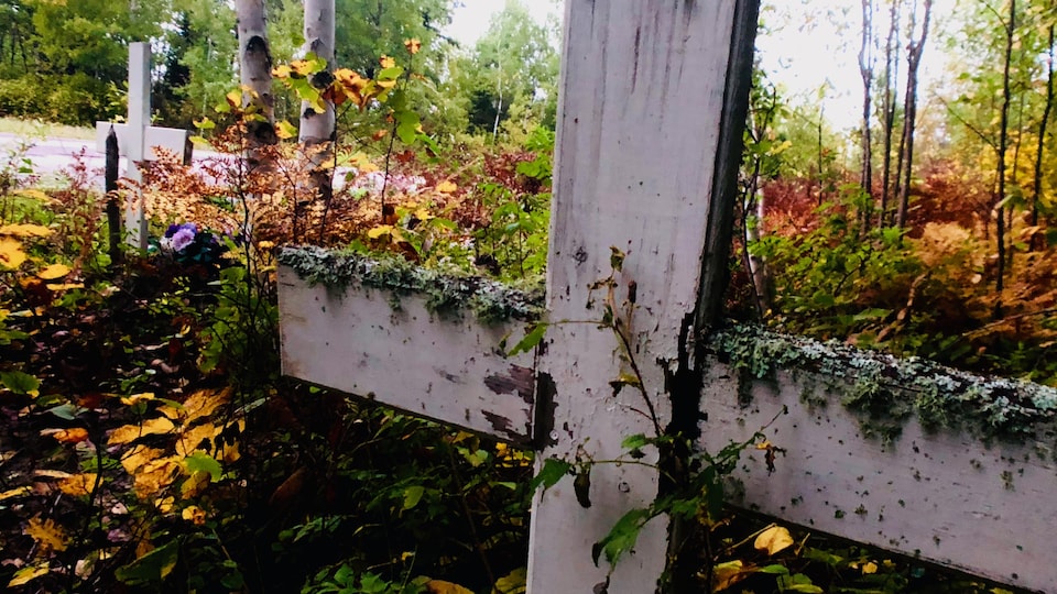 Des croix dans un cimetière de la réserve de Grassy Narrows, dans le Nord-Ouest de l'Ontario