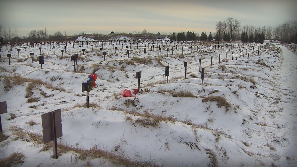 La ville de Québec ne compte aucun cimetière musulman sur son territoire.