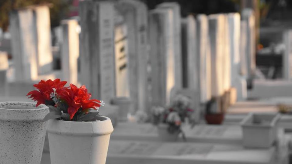 Des fleurs sur des pierres tombales dans un cimetière.
