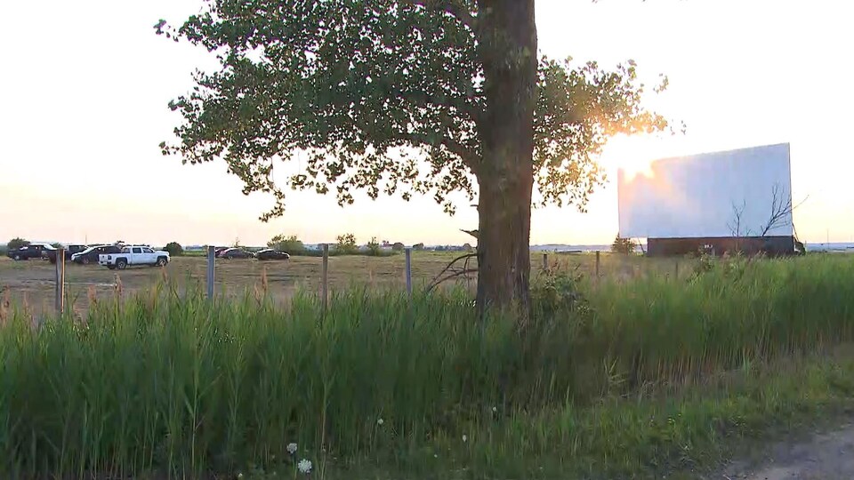 Le Coroner Enquetera Sur La Mort Accidentelle D Un Bebe Au Cine Parc De Boucherville Radio Canada Ca