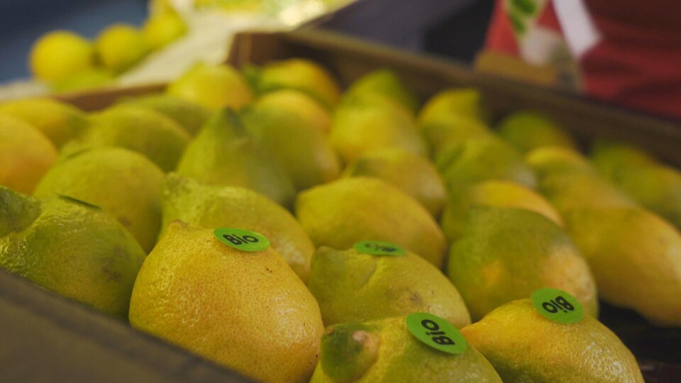 Des citrons jaunes portant l'inscription bio