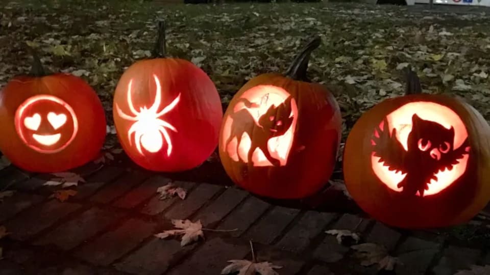 Des citrouilles avec des animaux sculptés.