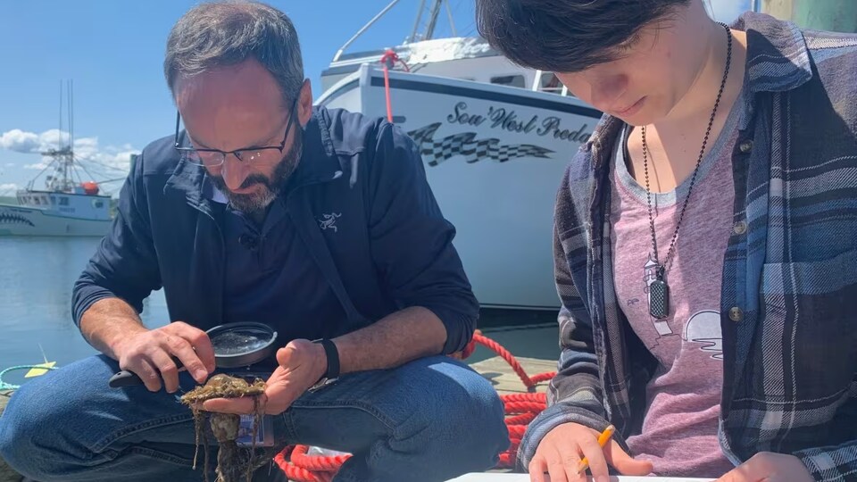 Claudio DiBacco examine les tuniciers collés à de l'équipement et Neo Paulin prend des notes.
