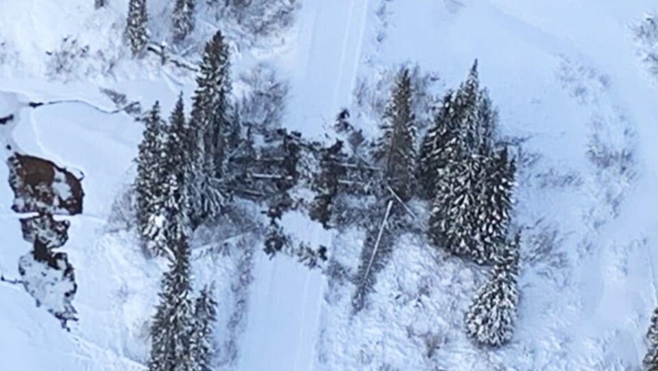 Des arbres coupés bloquent un chemin enneigé.