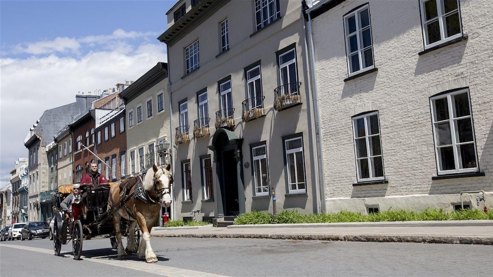 Un cocher avec des touristes dans le Vieux-Québec.