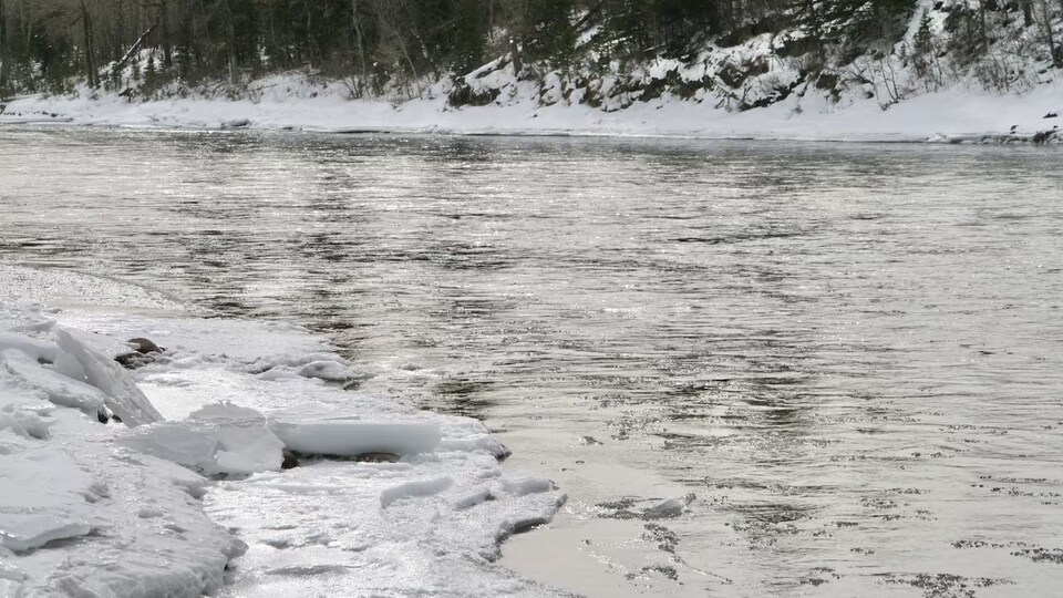 La rivière Bow, avec des berges enneigées.