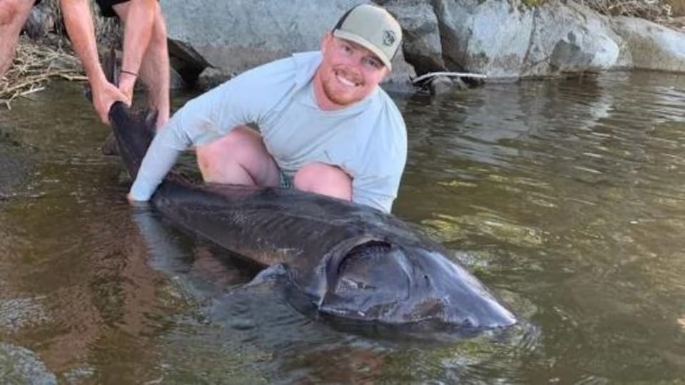 Un homme qui remet en poisson à l'eau.