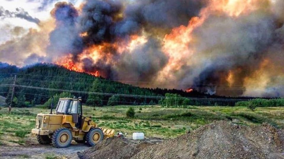 Des flammes et de la fumée surplombent une forêt en Colombie-Britannique