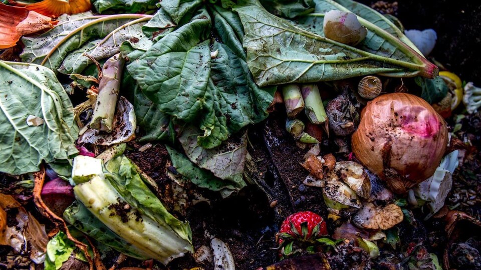 Des légumes, pêle-mêle.