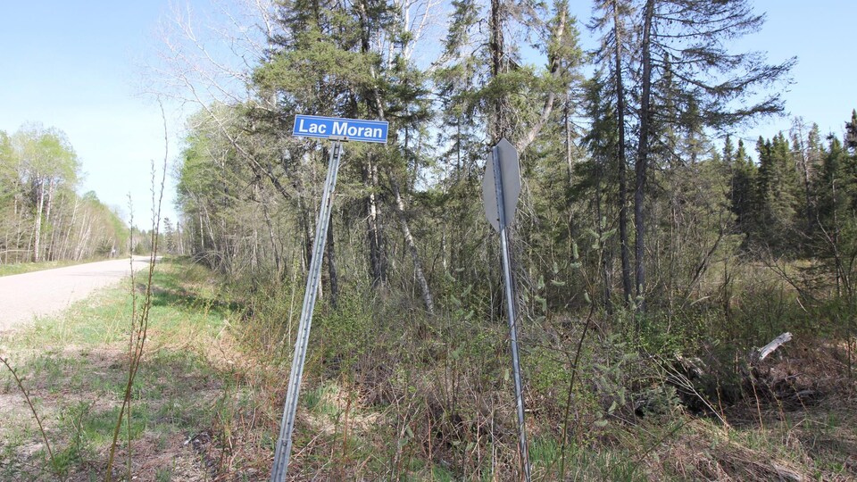 Une affiche indiquant «Lac Moran» près d'un boisé.