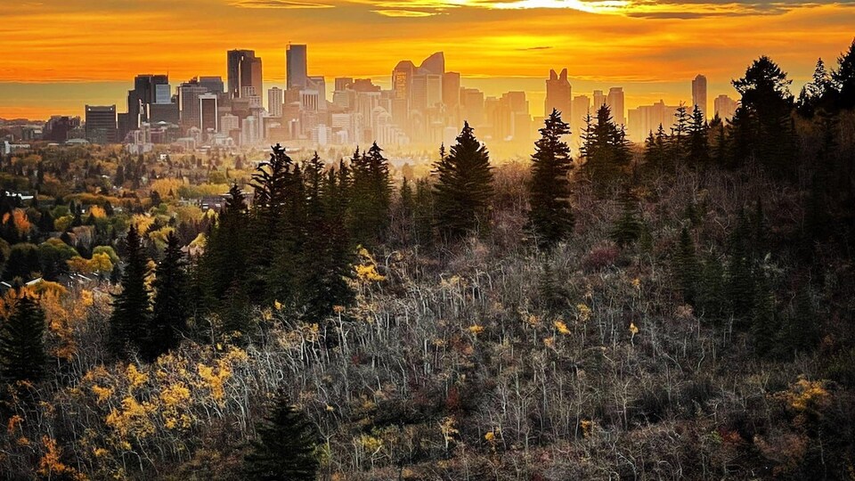 Une vue de Calgary