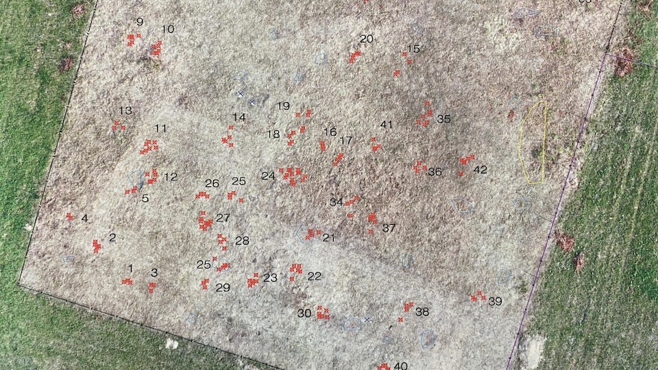 Une carte montrant les 54 potentielles tombes anonymes découvertes sur les sites d'anciens pensionnats pour Autochtones de la Première Nation Keeseekoose, en Saskatchewan.