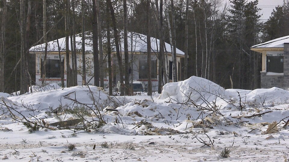 Deux maisons et des bouts d'arbres coupés sur le sol enneigé.