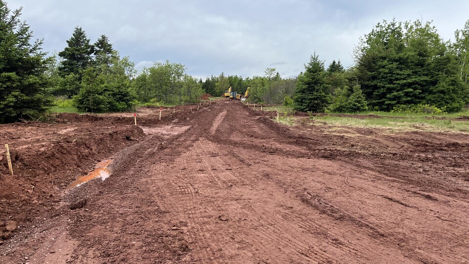 Des tracteurs et des pelleteuses remuent la terre. Une longue allée de boue relie l'entrée du site aux engins de construction.