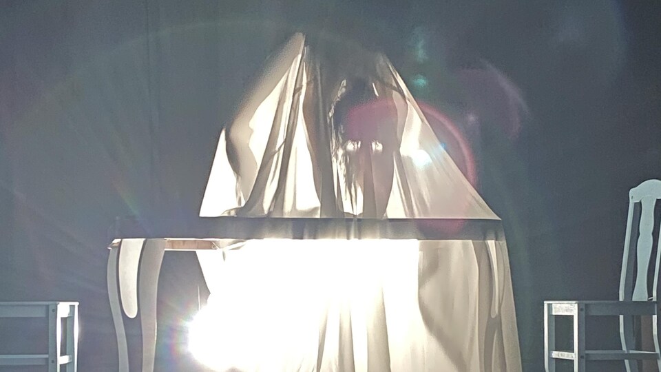 Une artiste de la scène se trouve sous un tissu de soie éclairé lors d'un numéro.