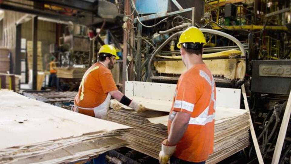 Des travailleurs avec des casques protecteurs jaunes manipulent des panneaux de contreplaqué dans une usine.