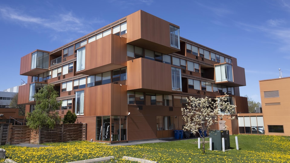 L'immeuble, qui comporte plusieurs unités.