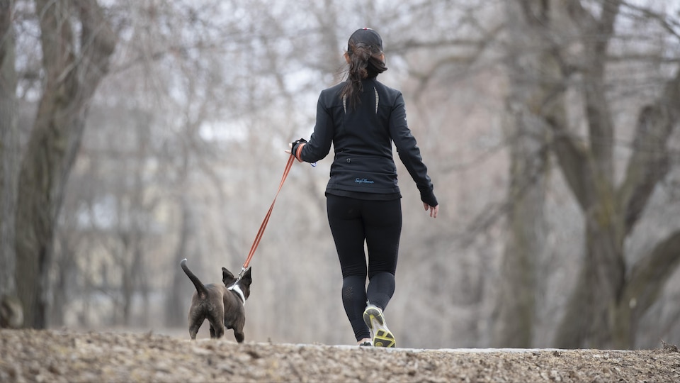 Une femme court en promenant son chien dans un parc.
