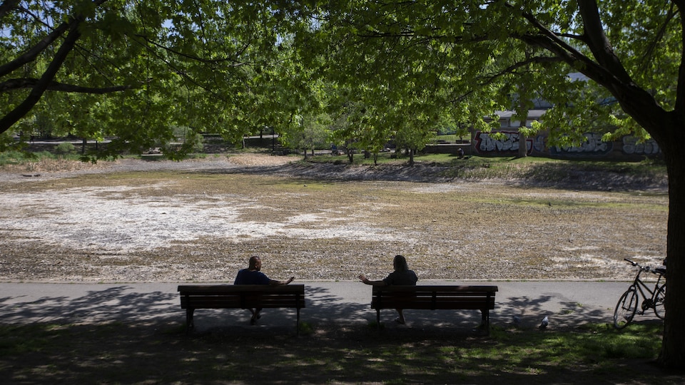 Deux personnes sont assises chacune sur un banc de parc, à l'ombre.