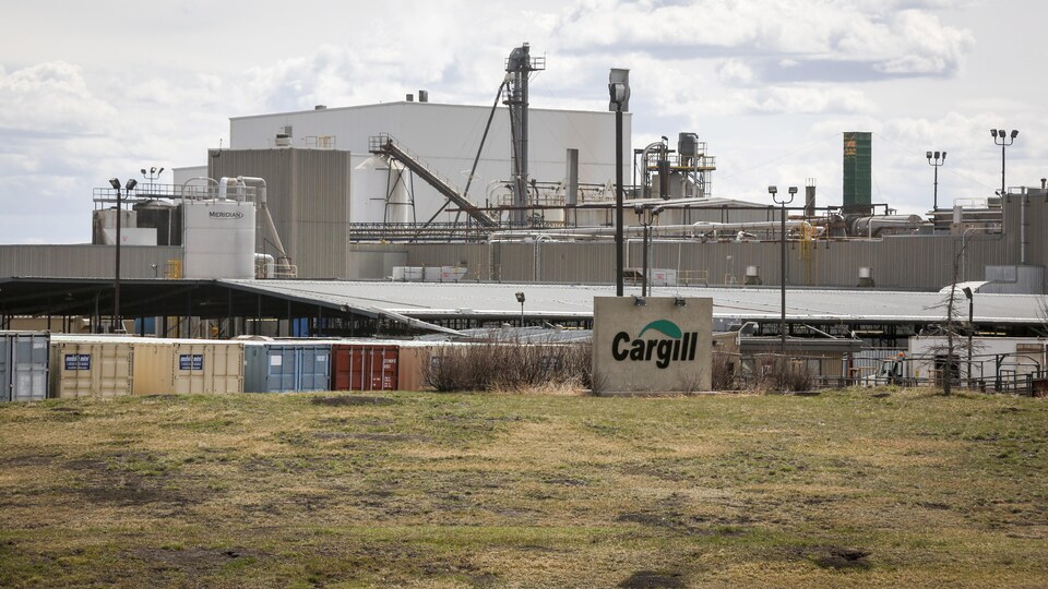 Une usine de bœuf en Alberta.