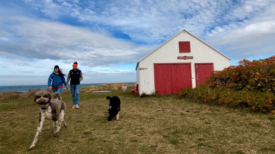 Un couple marche avec ses chiens à Métis-sur-Mer, en Gaspésie.
