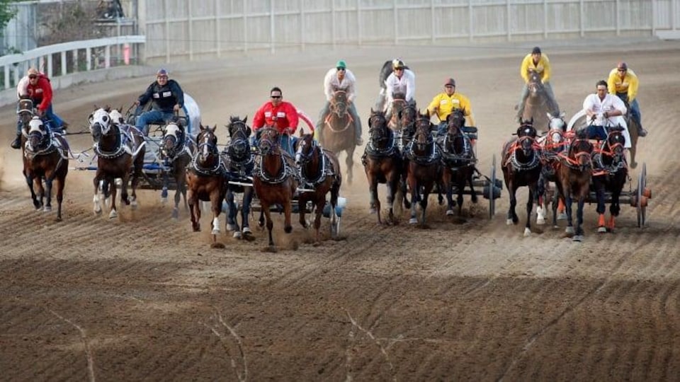 Quatre chariots chacun tiré par quatre chevaux côte à côte sur la piste de course.