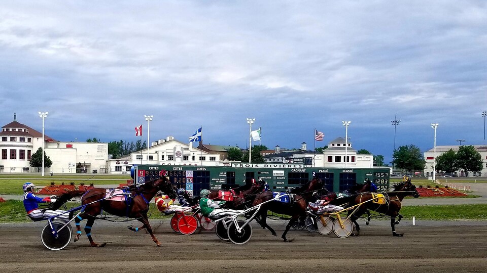 Des chevaux franchissent la ligne d'arrivée.