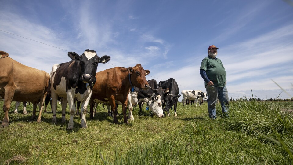 Les Agriculteurs Mitiges Face A L Aide Federale Radio Canada Ca