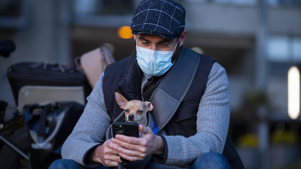 Un homme portant un masque regarde son cellulaire en compagnie de son petit chien. 