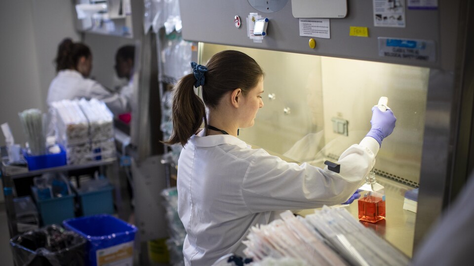 Une chercheuse travaille dans le laboratoire d'AbCellera à Vancouver. 