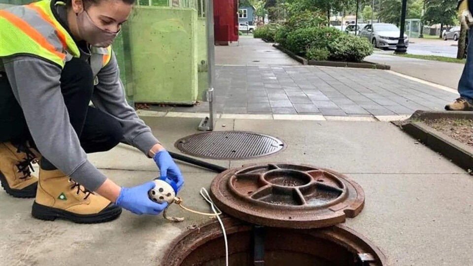 Une travailleuse tient un appareil permettant d'aspirer un échantillon d'eau usée dans une bouche d'égout. 