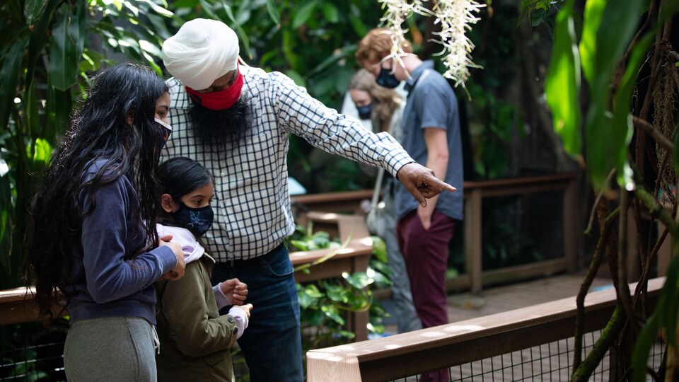 Des touristes masqués visitent l'Aquarium de Vancouver.
