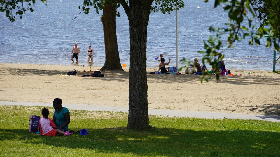Des gens s'amusent à la plage.